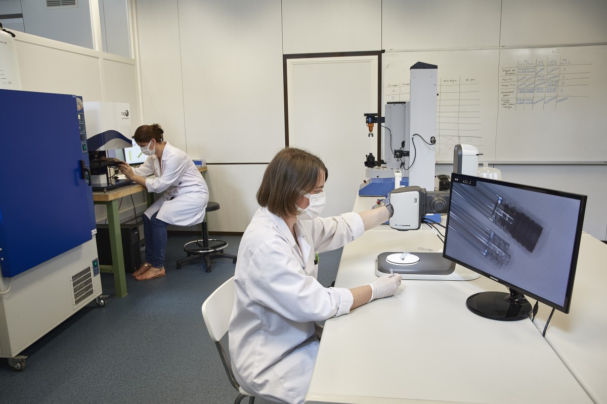 Laboratoire Innovation Clayens NP Plastibell