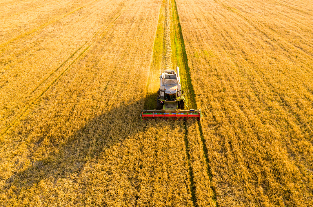 Agriculture